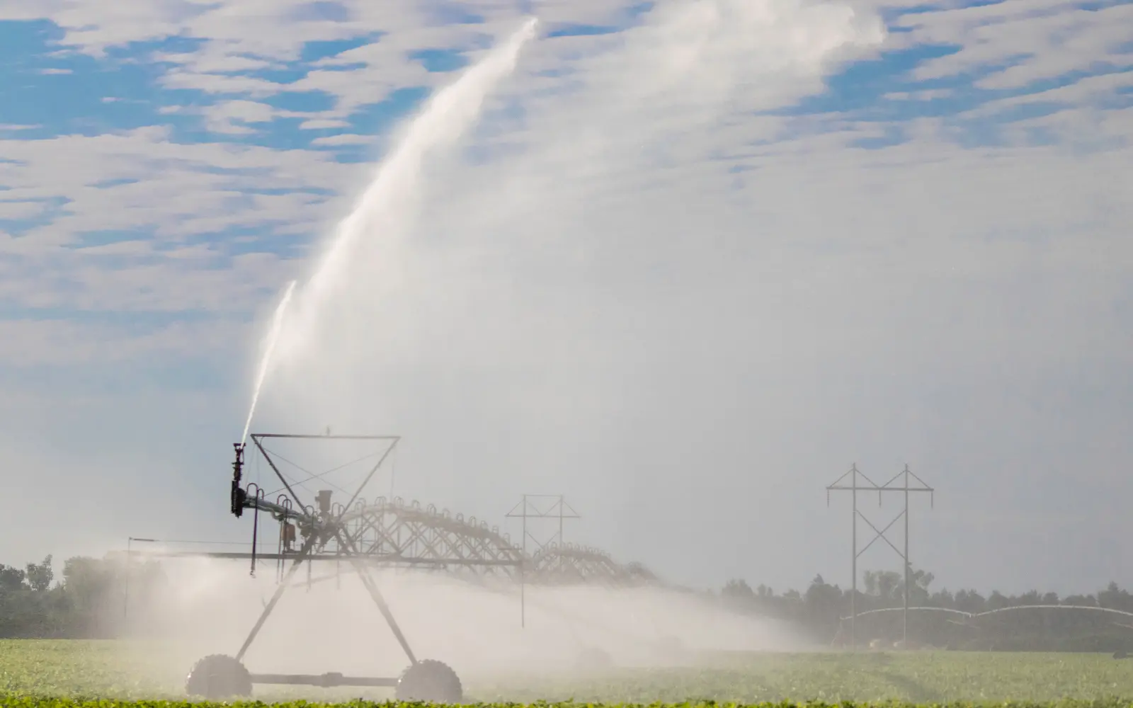 Bombas WOLF para riego agrícola con caudal alto y presión estable